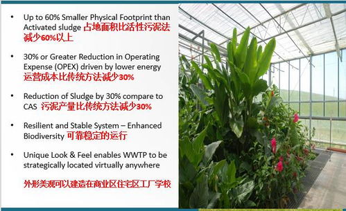 技術交流 會生長的污水廠——FCR花園式污水處理技術解析
